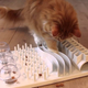A cat at work on the Trixie Fun Board Strategy Game, which features five distinct puzzles. (Image: Trixie/YouTube)